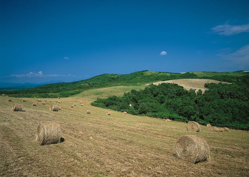 Free download high resolution image - free image free photo free stock image public domain picture  Hay bail harvesting in golden field landscape