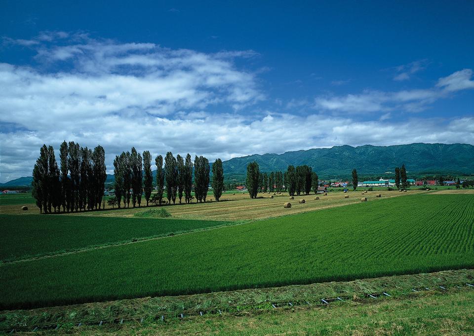 Free download high resolution image - free image free photo free stock image public domain picture  field of grass and perfect sky