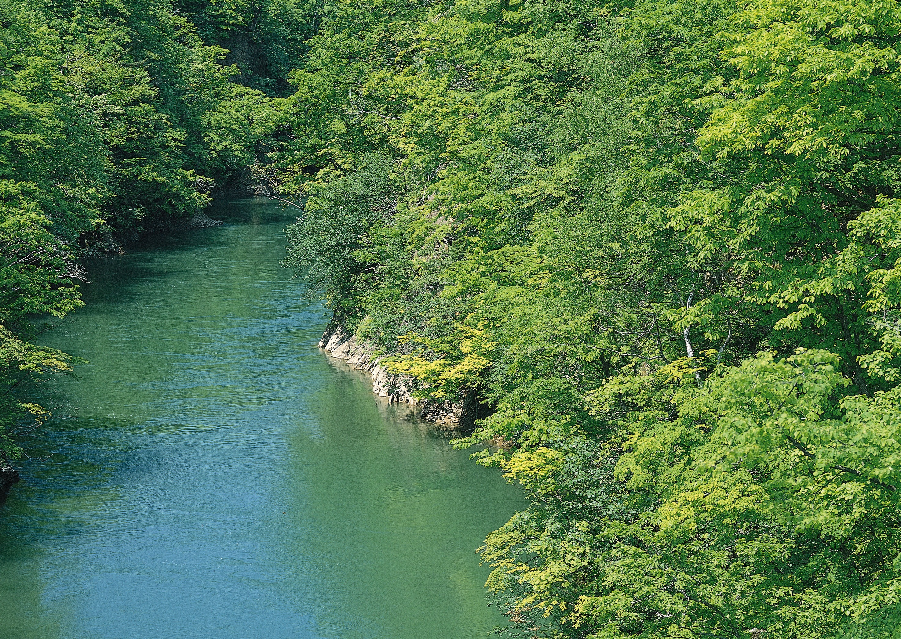 Free download high resolution image - free image free photo free stock image public domain picture -Beautiful view of mountain river in summer,