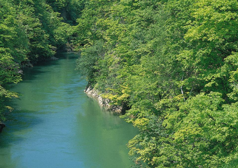 Free download high resolution image - free image free photo free stock image public domain picture  Beautiful view of mountain river in summer,