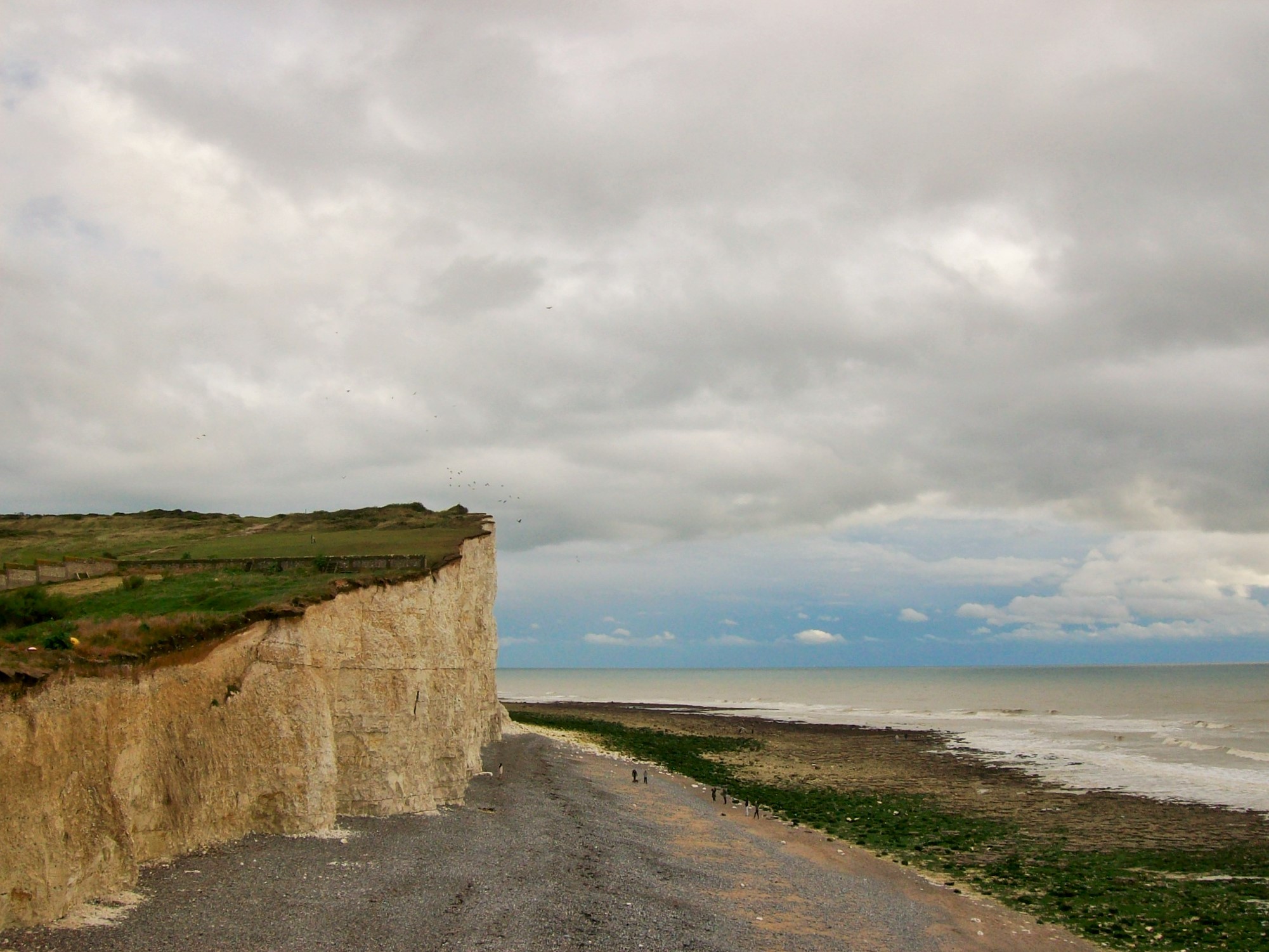 Free download high resolution image - free image free photo free stock image public domain picture -Cliff in Birling Gap