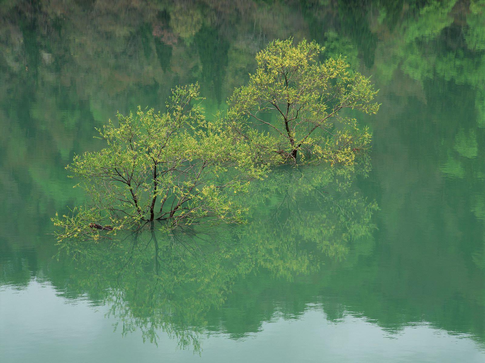 Free download high resolution image - free image free photo free stock image public domain picture -Kawaguchiko lake in summer - Landscape of Mountain