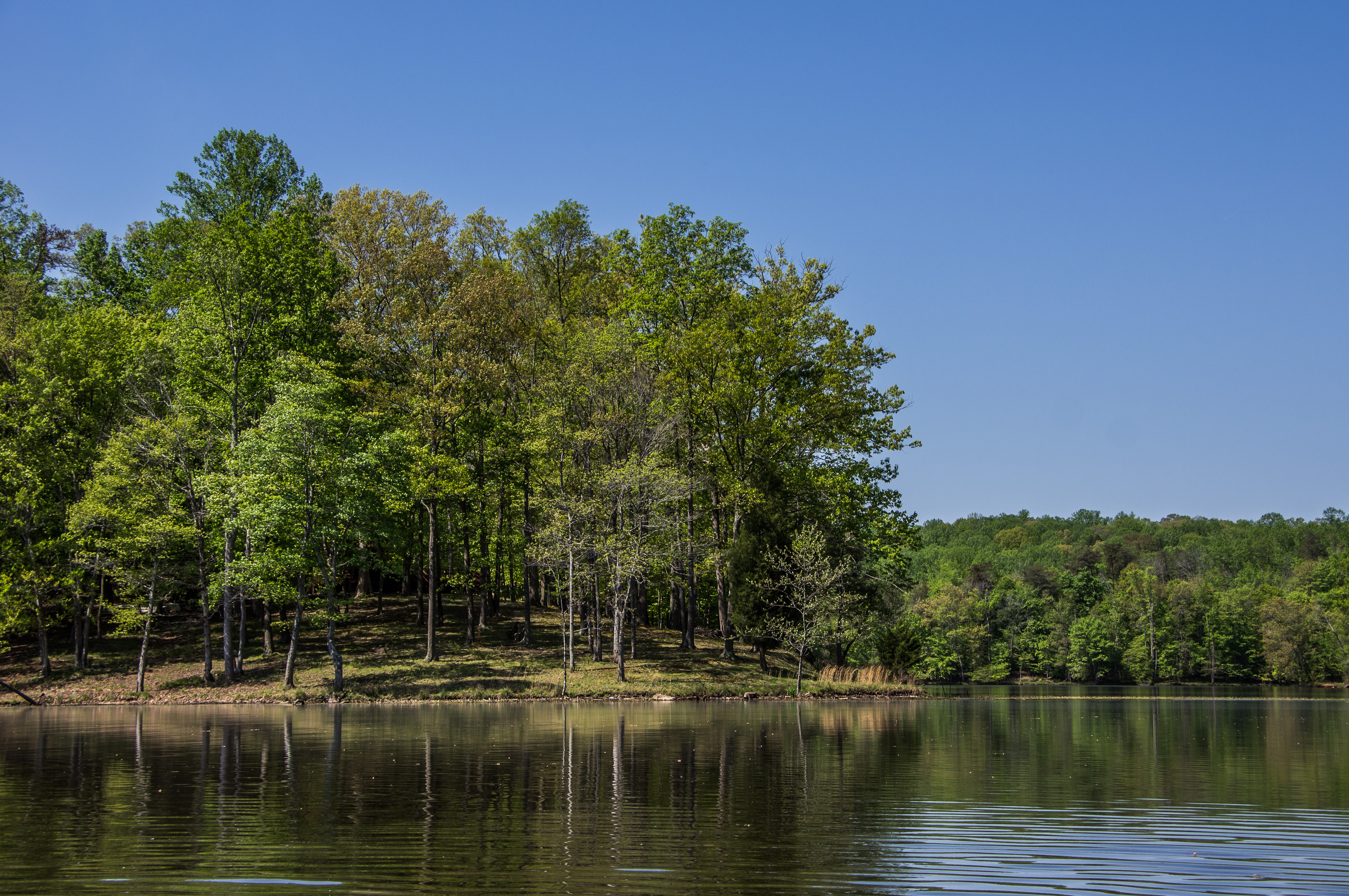 Free download high resolution image - free image free photo free stock image public domain picture -Fountainhead Regional Park, Virginia