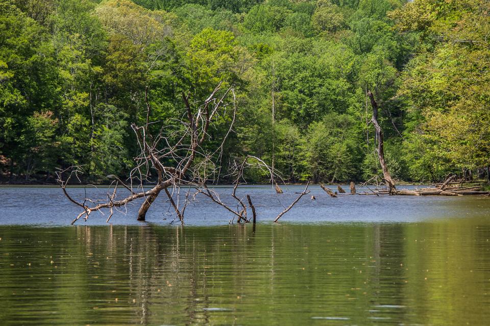 Free download high resolution image - free image free photo free stock image public domain picture  Fountainhead Regional Park, Virginia