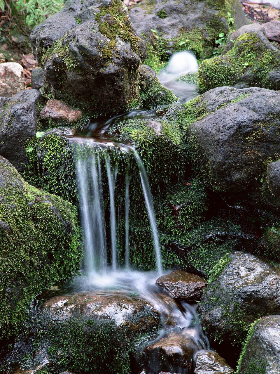 Free download high resolution image - free image free photo free stock image public domain picture  Nature wonderland, waterfall in forest