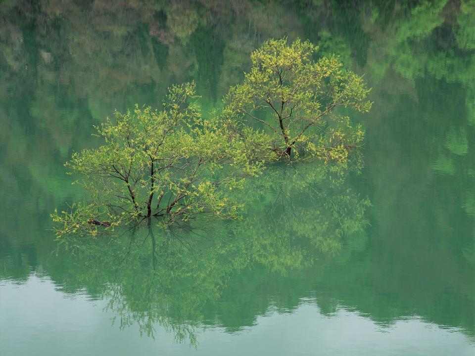 Free download high resolution image - free image free photo free stock image public domain picture  Kawaguchiko lake in summer - Landscape of Mountain