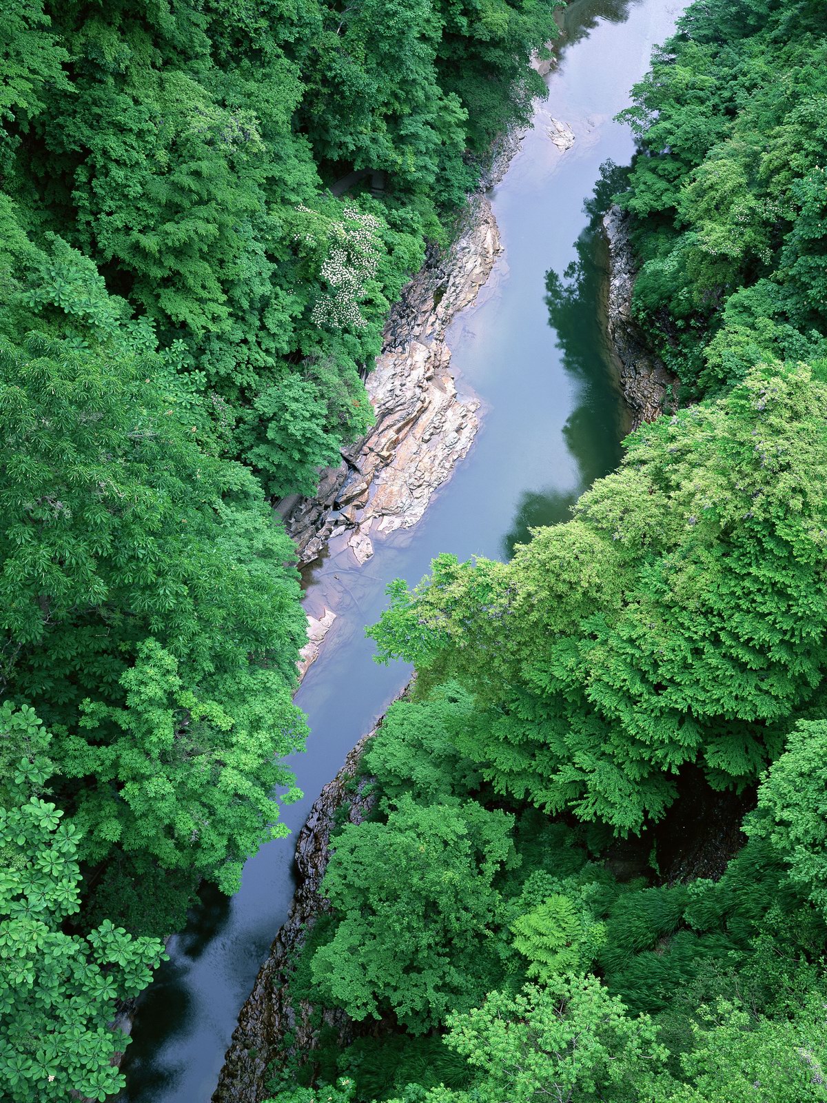 Free download high resolution image - free image free photo free stock image public domain picture -Beautiful mountain river landscape from stone footpath with rocks