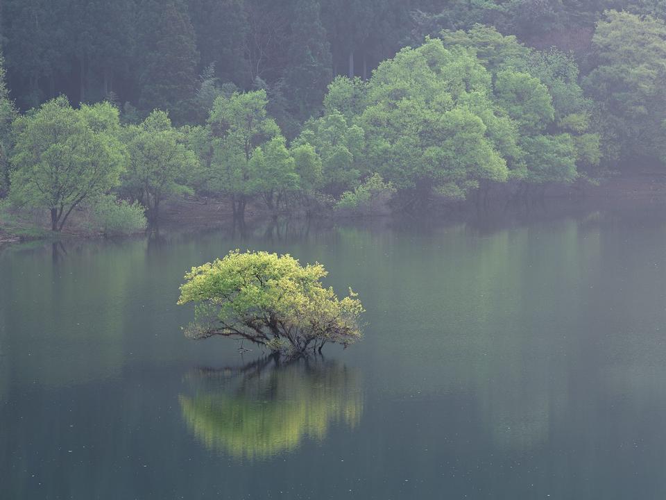 Free download high resolution image - free image free photo free stock image public domain picture  lake Kawaguchiko