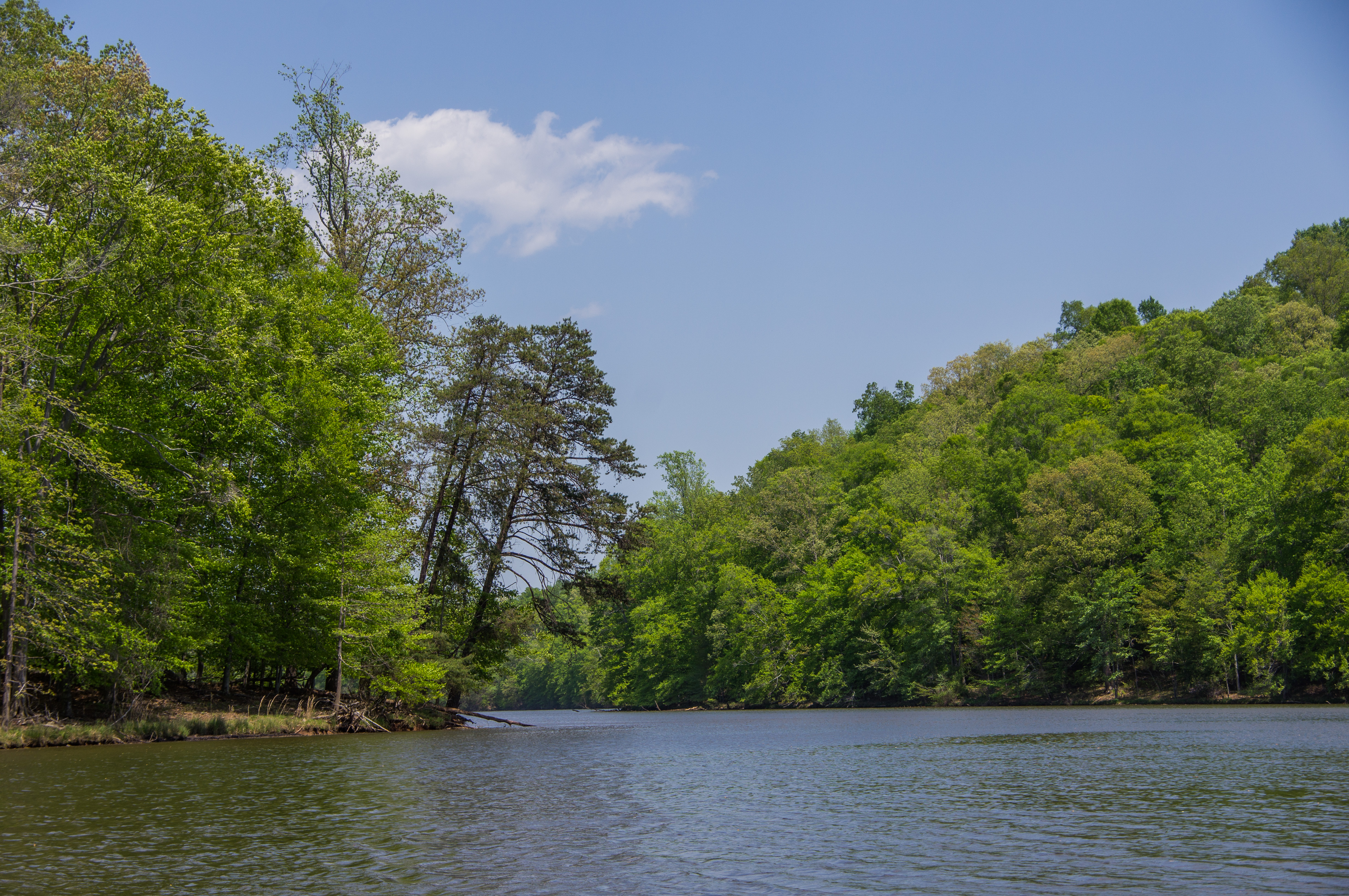 Free download high resolution image - free image free photo free stock image public domain picture -Fountainhead Regional Park, Virginia