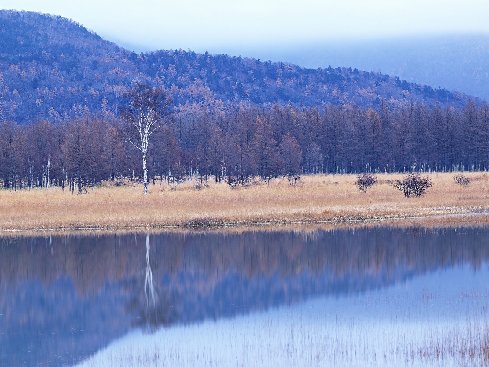 Free download high resolution image - free image free photo free stock image public domain picture -Sunny Day, Landscape With Mountain, Pure Water Lake