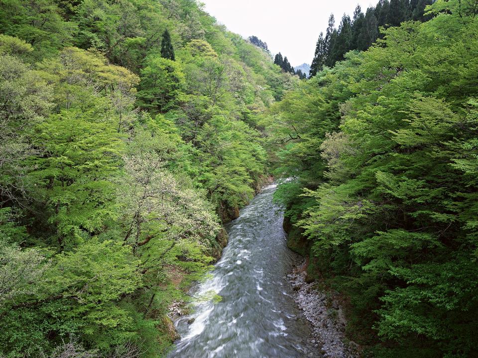 Free download high resolution image - free image free photo free stock image public domain picture  River in mountain valley at the foot