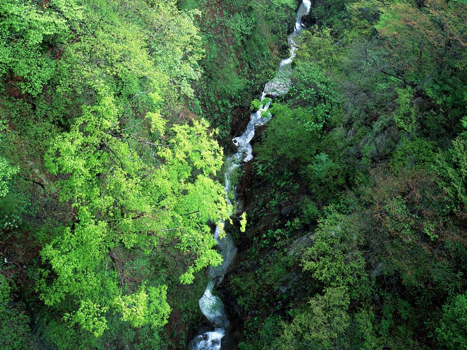 Free download high resolution image - free image free photo free stock image public domain picture  Beautiful mountain river landscape from stone footpath