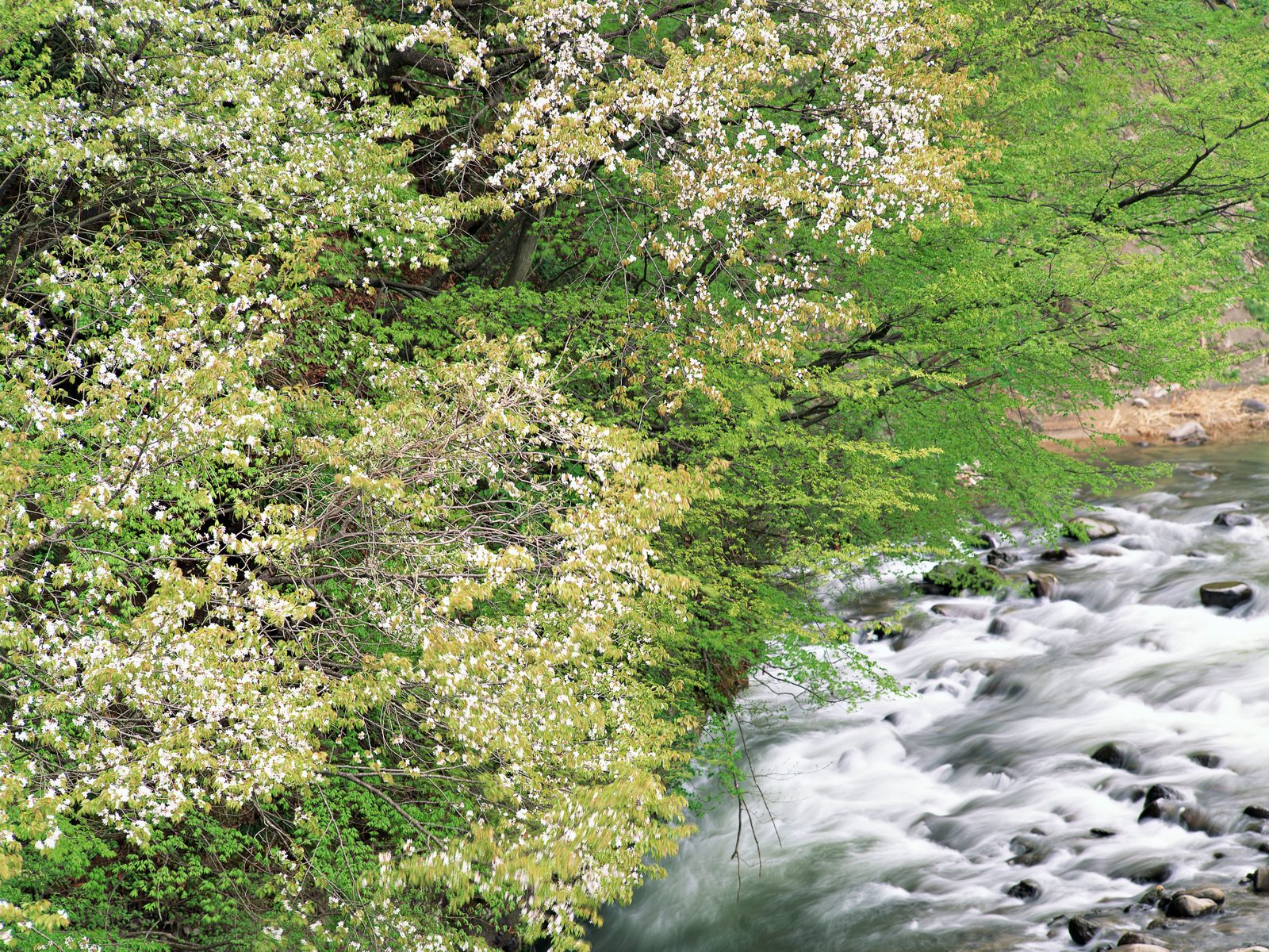 Free download high resolution image - free image free photo free stock image public domain picture -Autumn Colors of River,