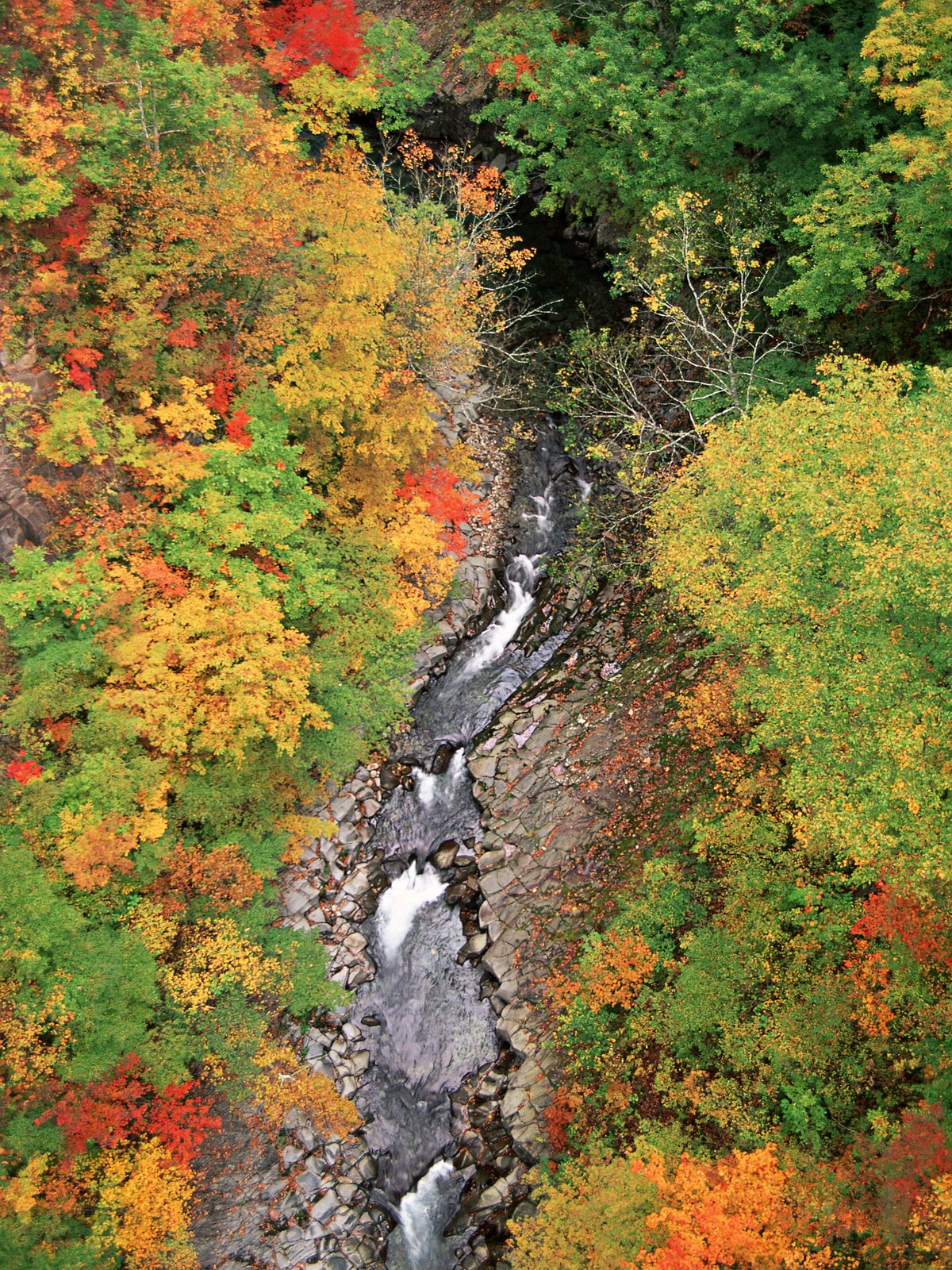 Free download high resolution image - free image free photo free stock image public domain picture -Beautiful mountain river landscape from stone footpath autumn