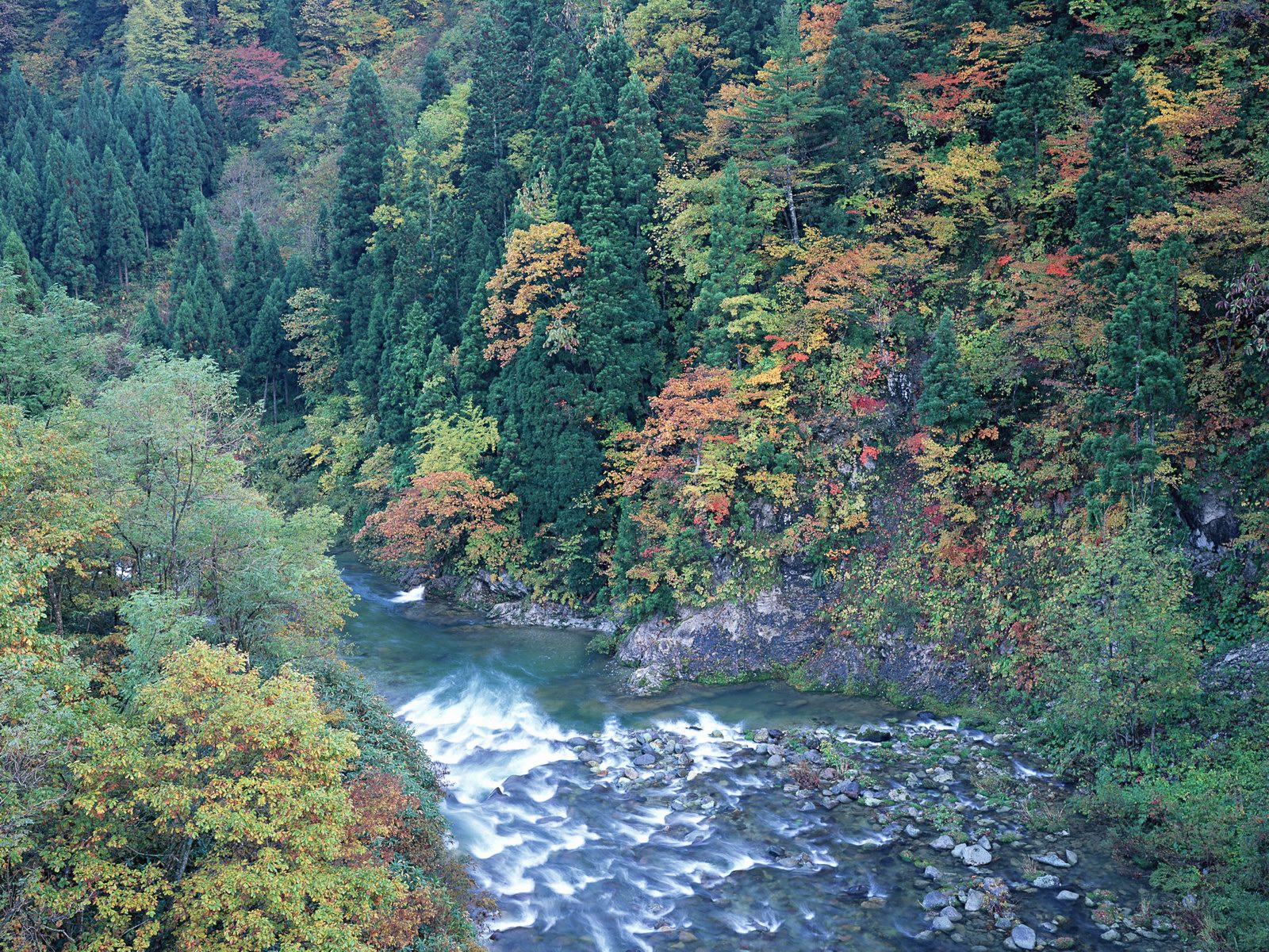 Free download high resolution image - free image free photo free stock image public domain picture -Autumn landscape. Composition of nature. mountain river