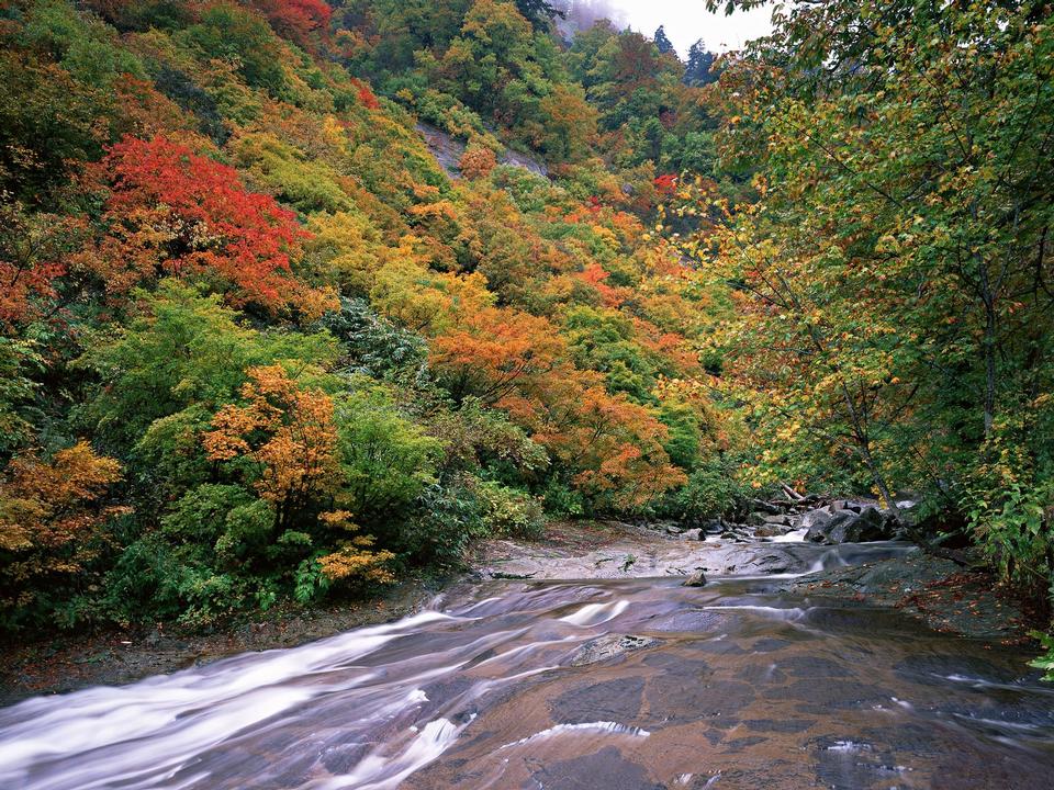 Free download high resolution image - free image free photo free stock image public domain picture  Autumn landscape. Composition of nature. River into canyon.