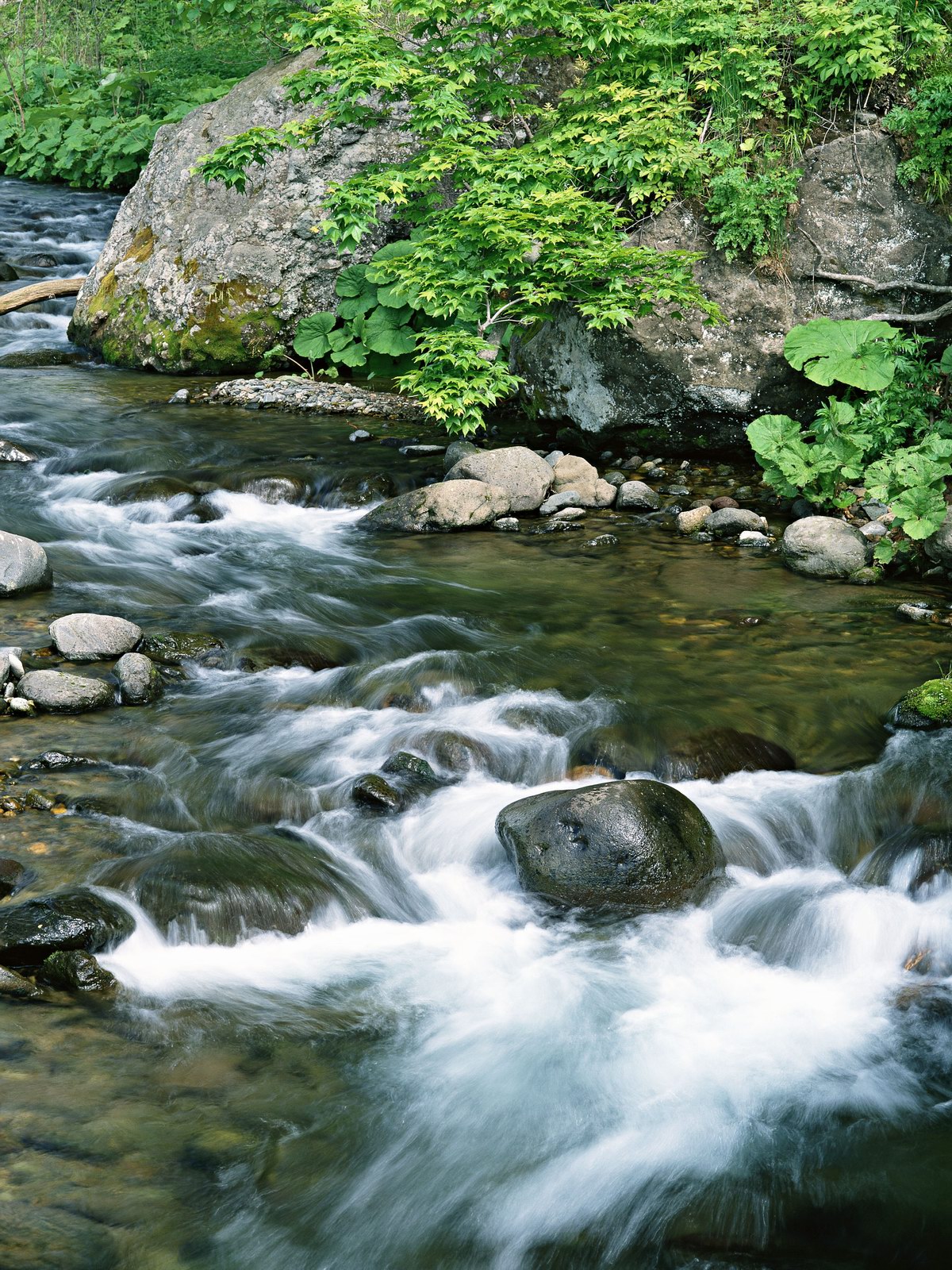 Free download high resolution image - free image free photo free stock image public domain picture -Mountain River in the wood and rock