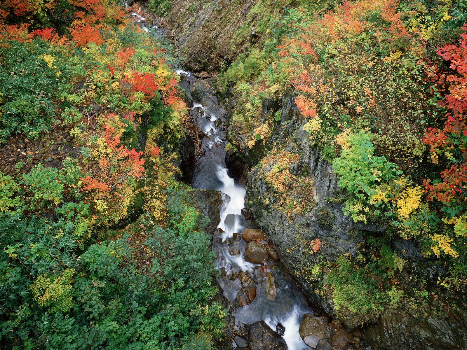 Free download high resolution image - free image free photo free stock image public domain picture -Beautiful mountain river at autumn