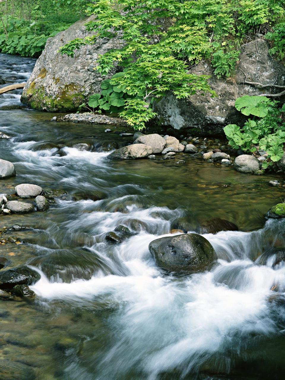 Free download high resolution image - free image free photo free stock image public domain picture  Mountain River in the wood and rock