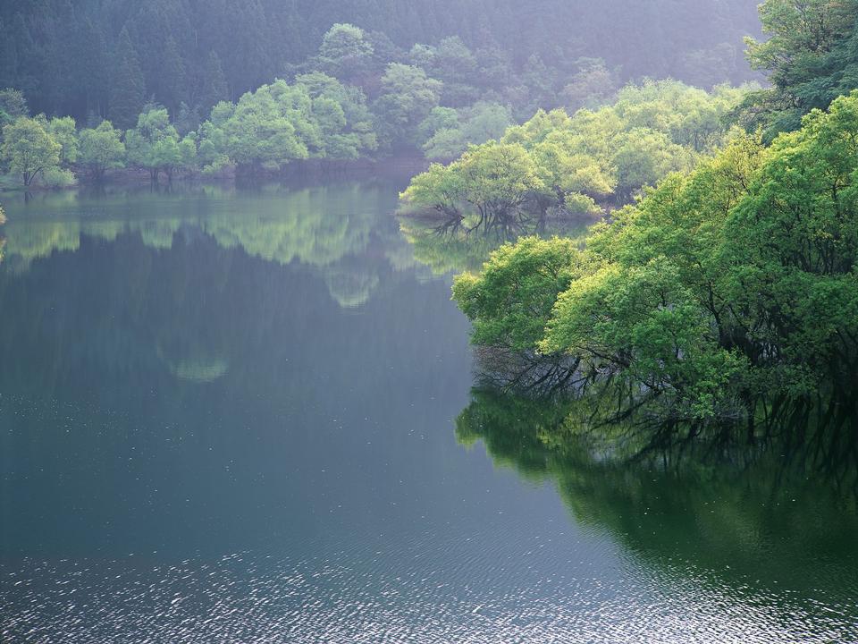 Free download high resolution image - free image free photo free stock image public domain picture  Kawaguchiko lake in summer