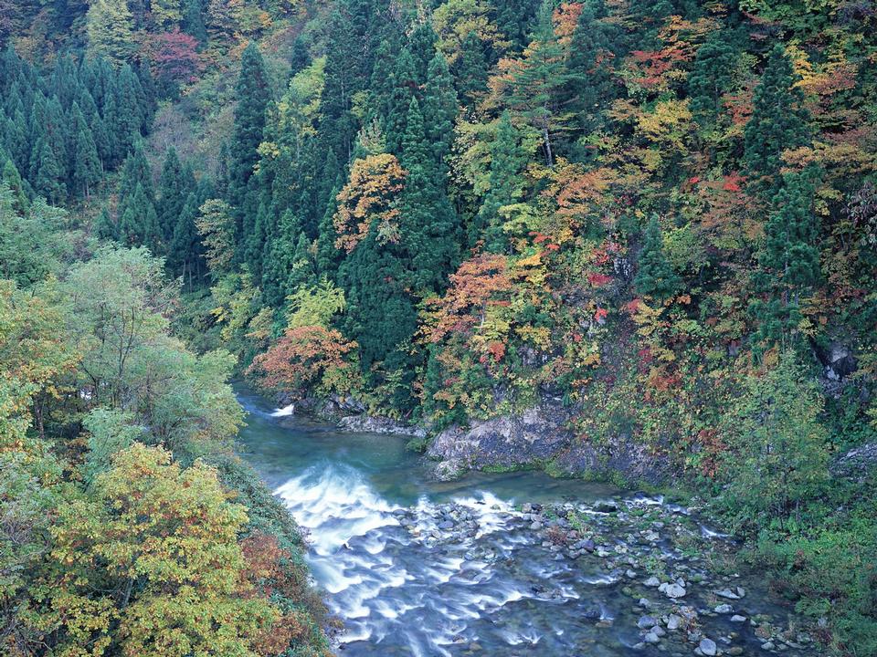 Free download high resolution image - free image free photo free stock image public domain picture  Autumn landscape. Composition of nature. mountain river