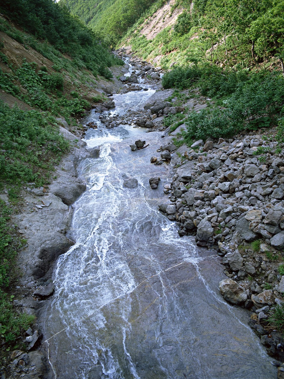 Free download high resolution image - free image free photo free stock image public domain picture -Summer forest and mountain river