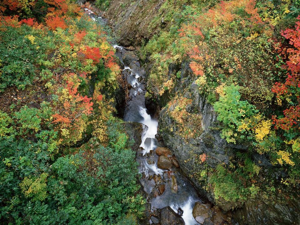 Free download high resolution image - free image free photo free stock image public domain picture  Beautiful mountain river at autumn