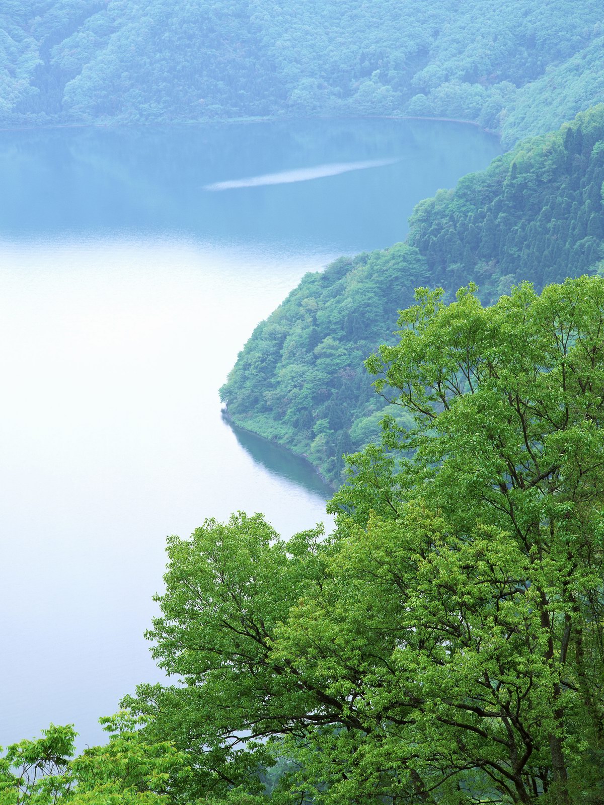 Free download high resolution image - free image free photo free stock image public domain picture -Mighty volcano Mount Fuji is seen from the lake Kawaguchiko