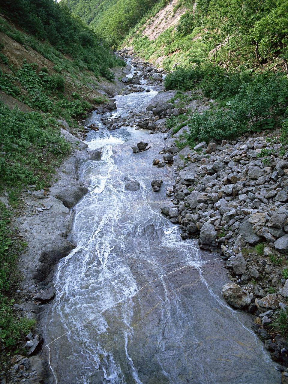 Free download high resolution image - free image free photo free stock image public domain picture  Summer forest and mountain river