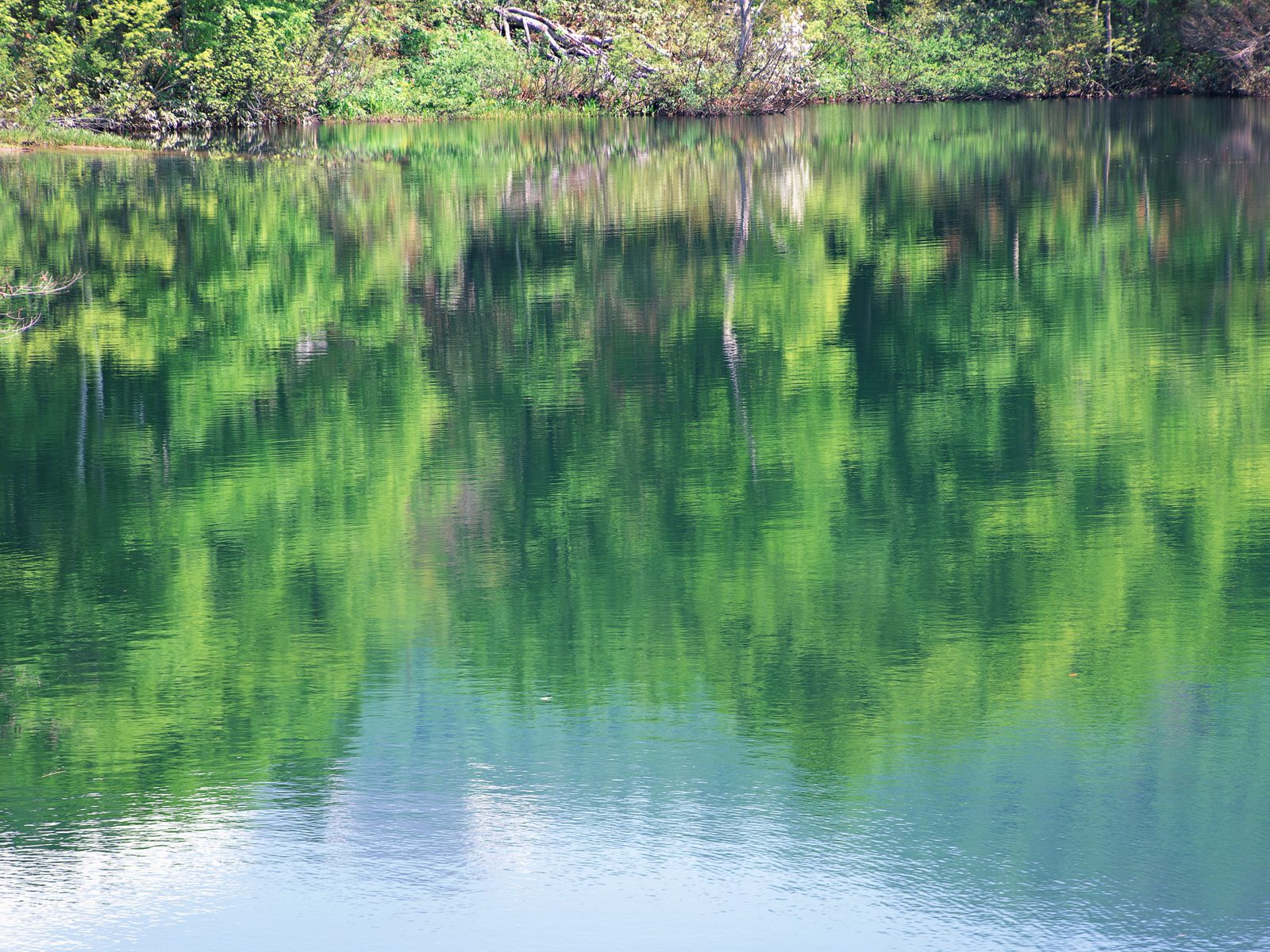 Free download high resolution image - free image free photo free stock image public domain picture -Mighty volcano Mount Fuji is seen from the lake Kawaguchiko