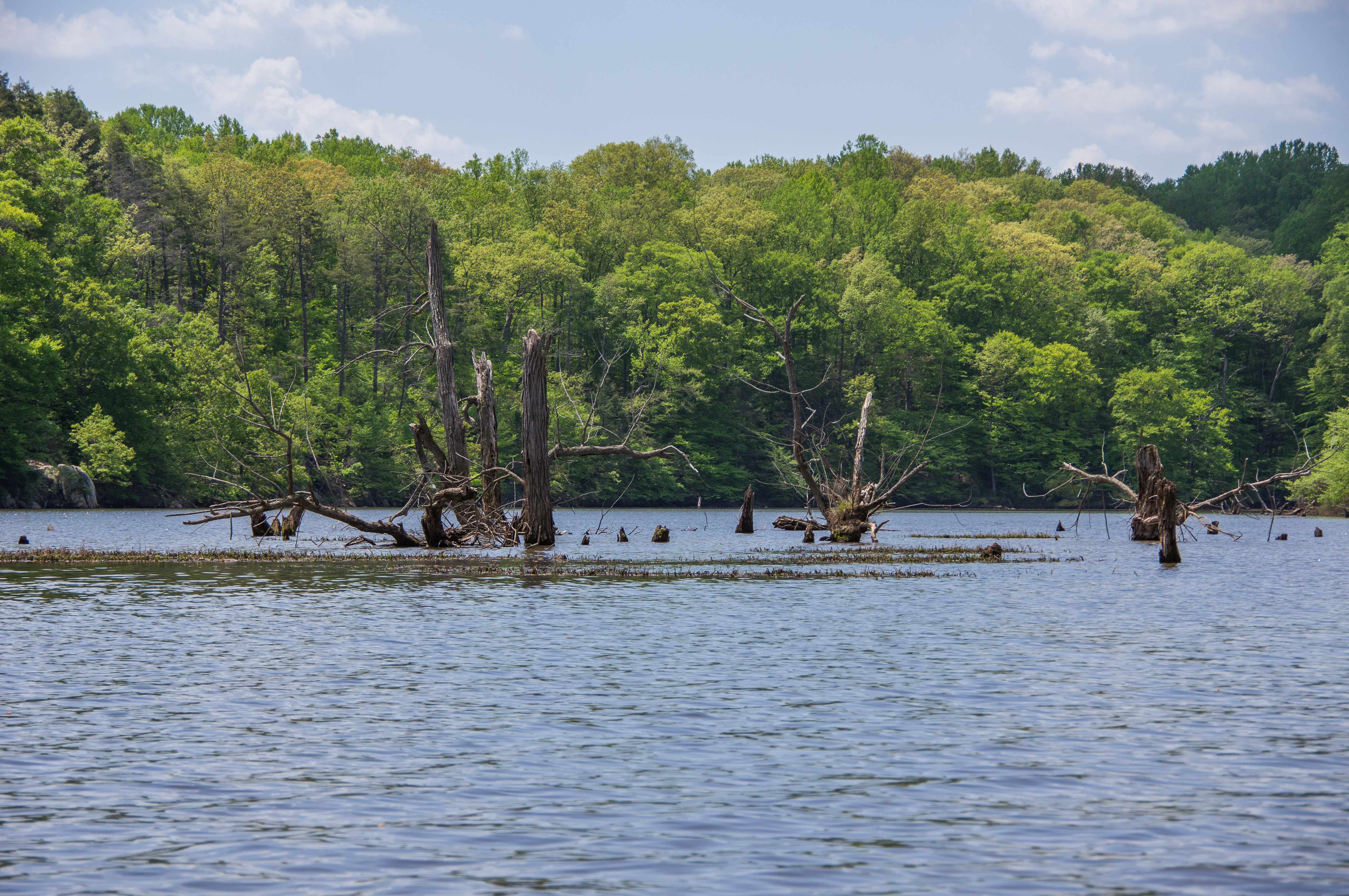 Free download high resolution image - free image free photo free stock image public domain picture -Fountainhead Regional Park, Virginia