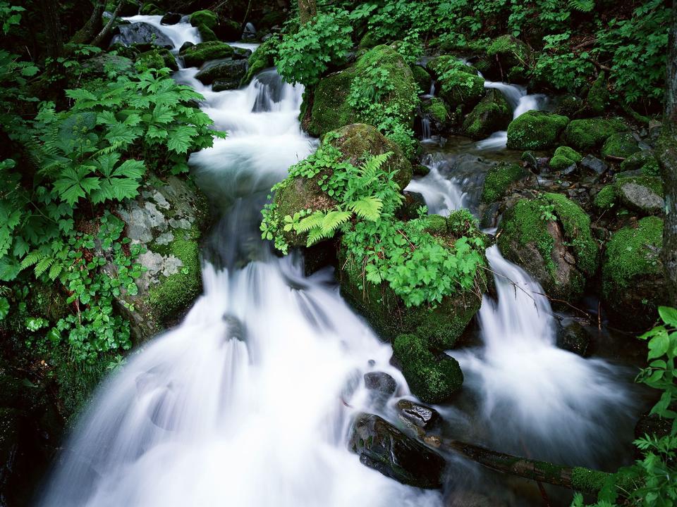 Free download high resolution image - free image free photo free stock image public domain picture  Run of mountain stream waterfalls