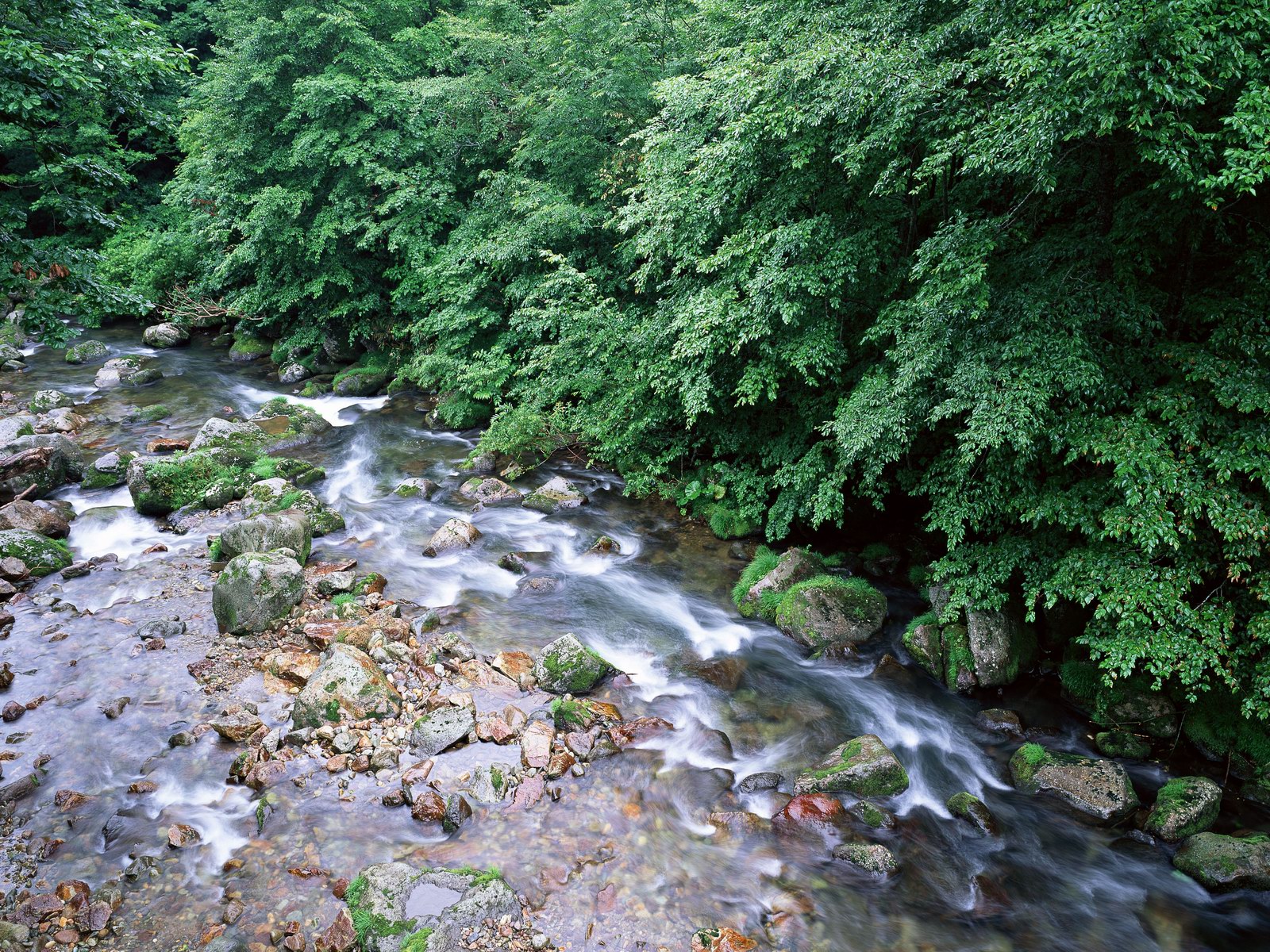 Free download high resolution image - free image free photo free stock image public domain picture -Stones and mountain river with small waterfall,