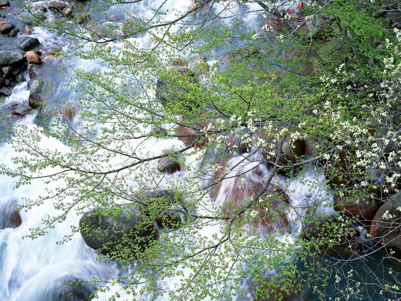 Free download high resolution image - free image free photo free stock image public domain picture -mountain stream through boulders