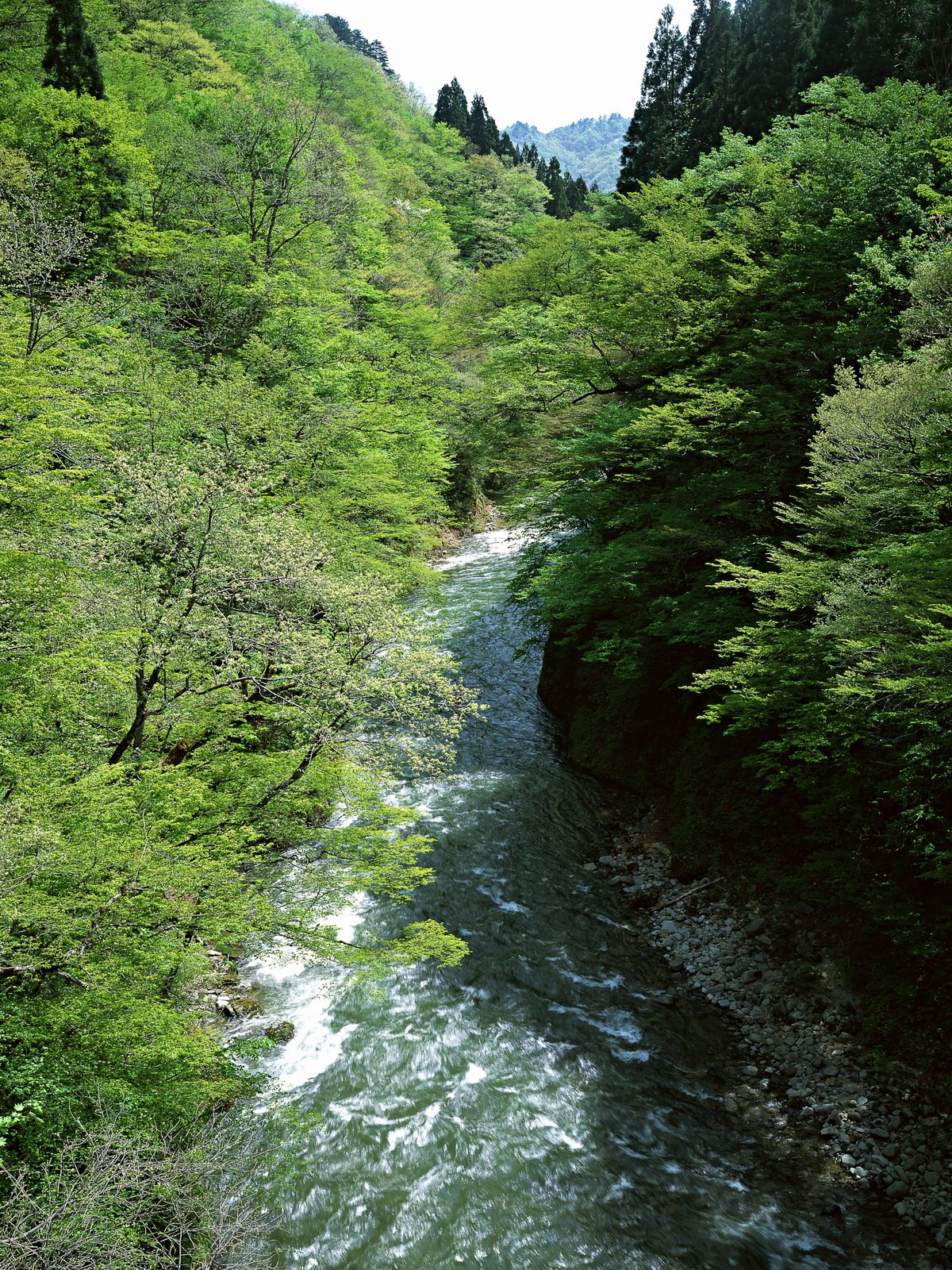 Free download high resolution image - free image free photo free stock image public domain picture -Beautiful turquoise mountain river.