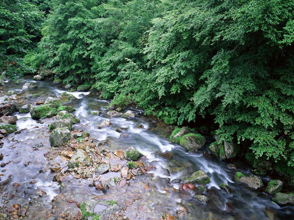 Free download high resolution image - free image free photo free stock image public domain picture  Stones and mountain river with small waterfall,