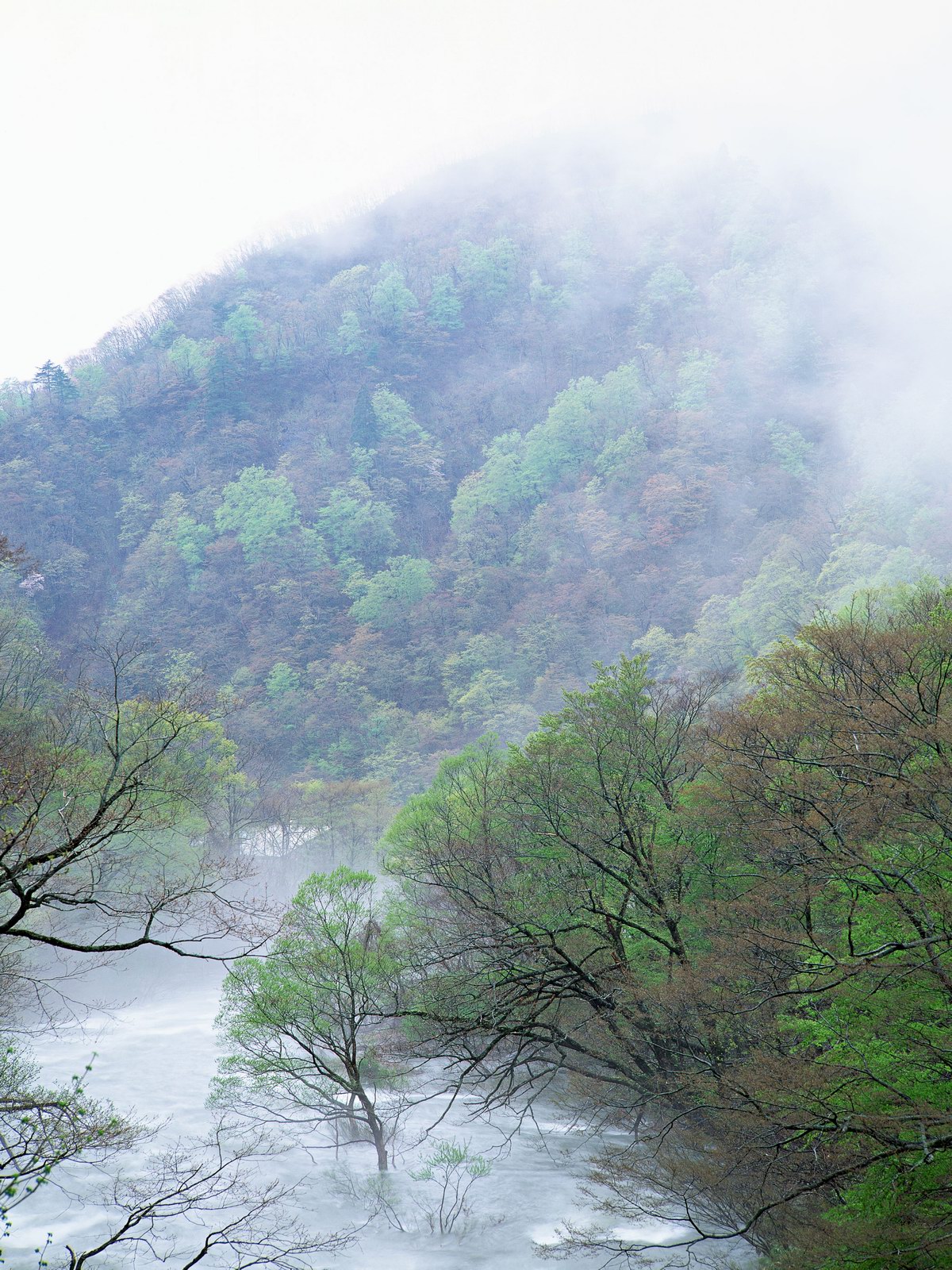 Free download high resolution image - free image free photo free stock image public domain picture -Summer landscape with river and mountain foggy