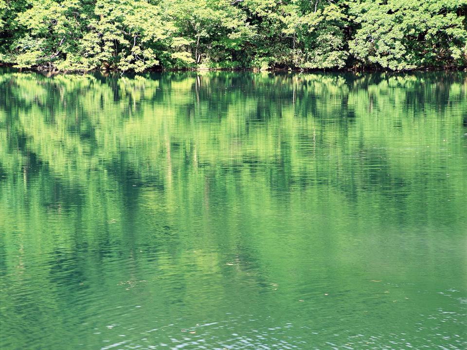 Free download high resolution image - free image free photo free stock image public domain picture  Mighty volcano Mount Fuji is seen from the lake Kawaguchiko