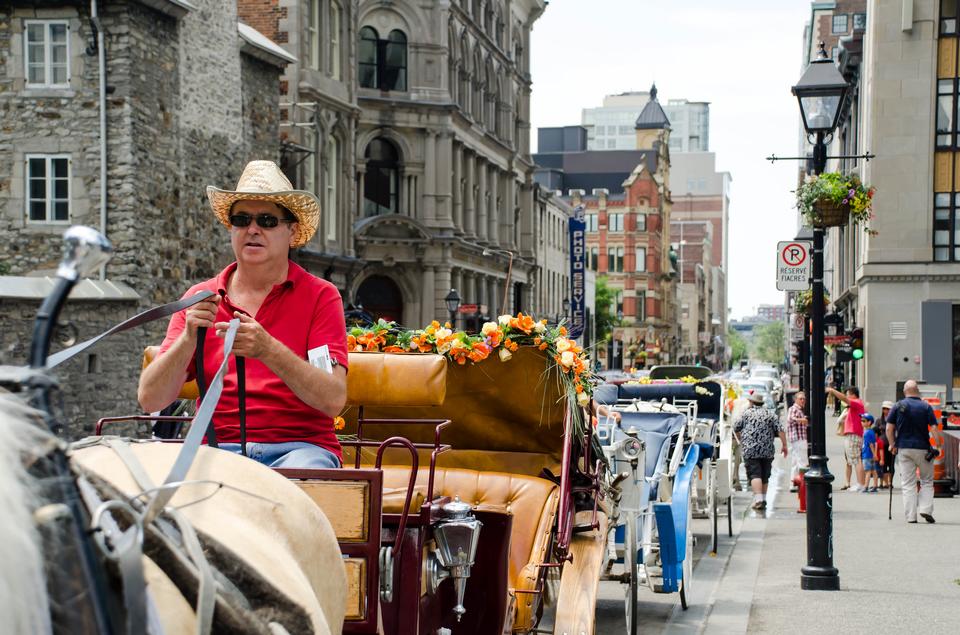 Free download high resolution image - free image free photo free stock image public domain picture  Horse Carriage in Montreal, Canada