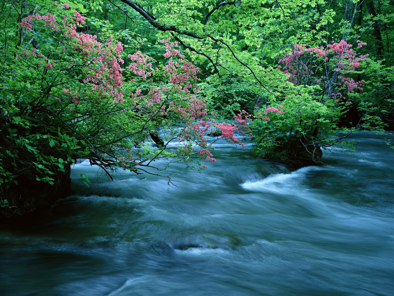 Free download high resolution image - free image free photo free stock image public domain picture -Cascade falls over mossy rocks