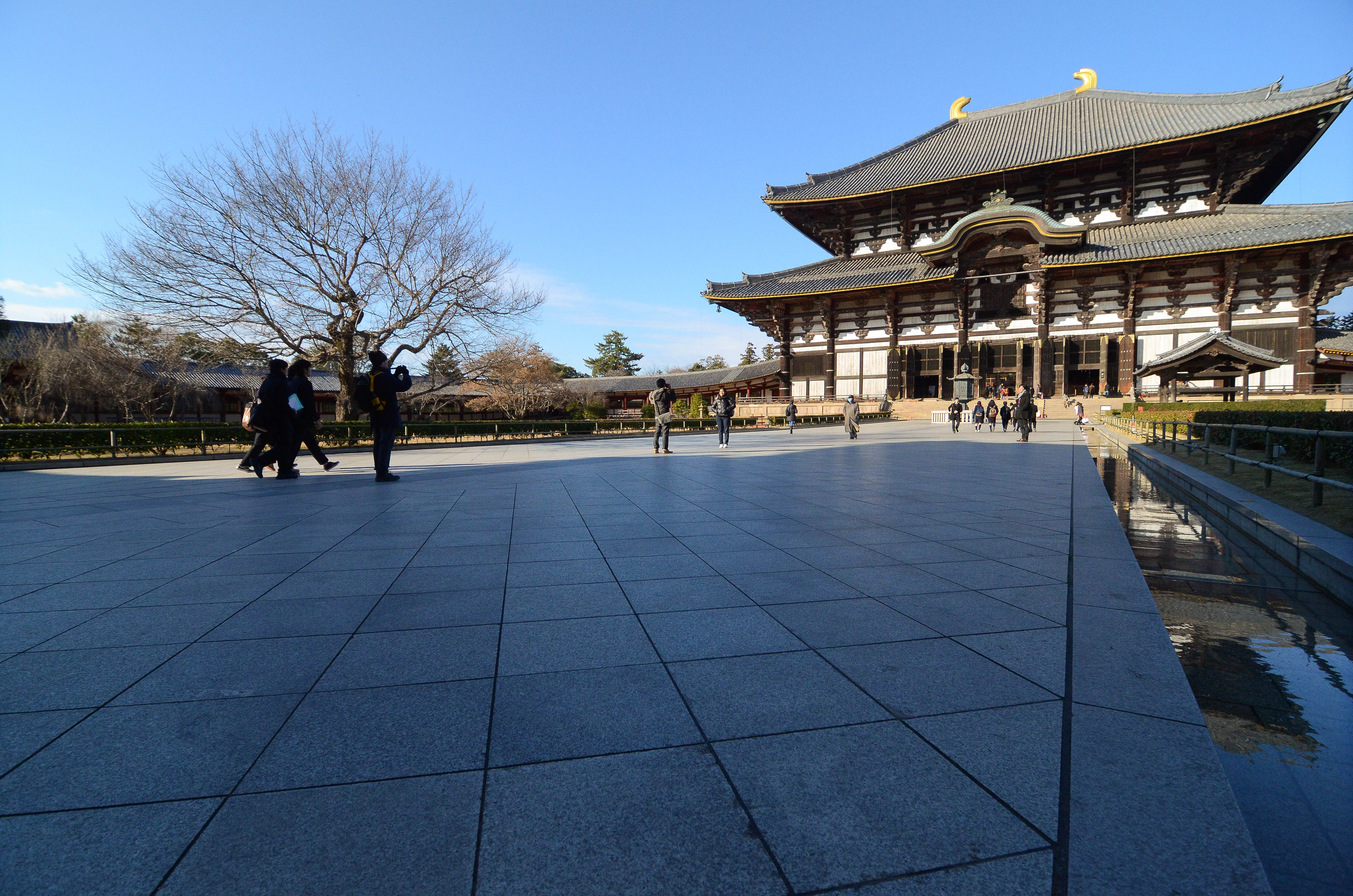 Free download high resolution image - free image free photo free stock image public domain picture -Todaiji Temple in the fall in Nara, Japan.