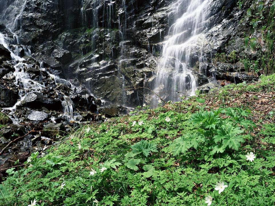 Free download high resolution image - free image free photo free stock image public domain picture  Waterfall in deep rain forest