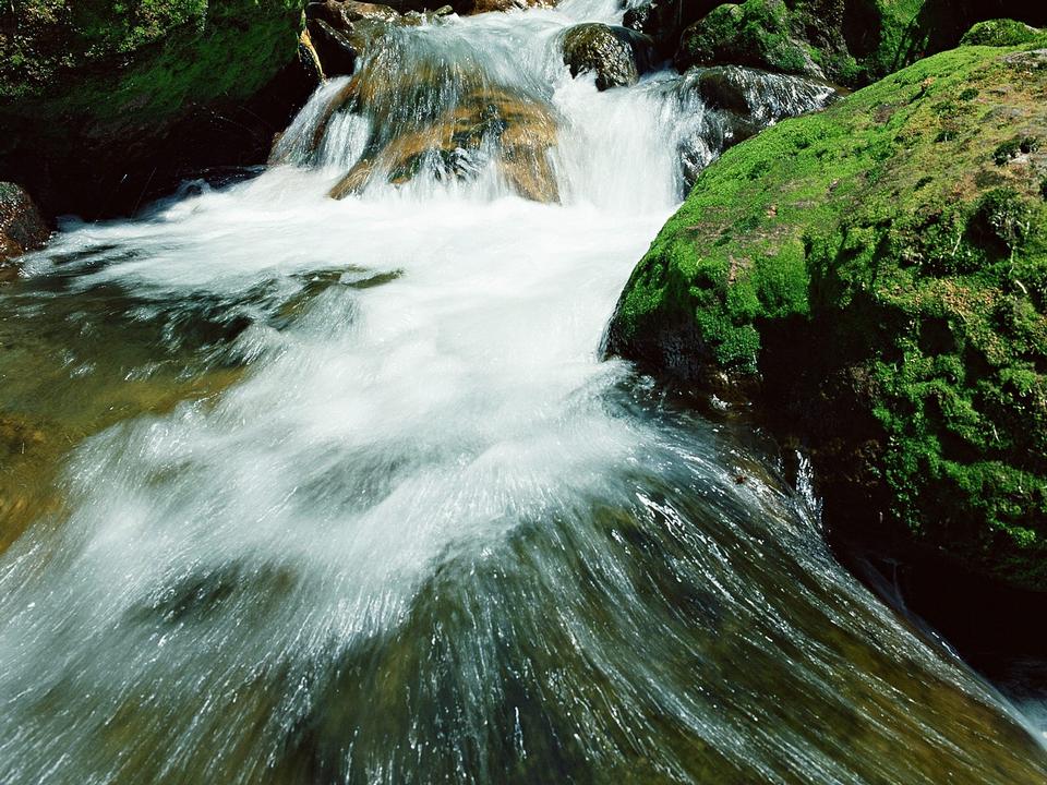 Free download high resolution image - free image free photo free stock image public domain picture  Mountain River in the wood and moss