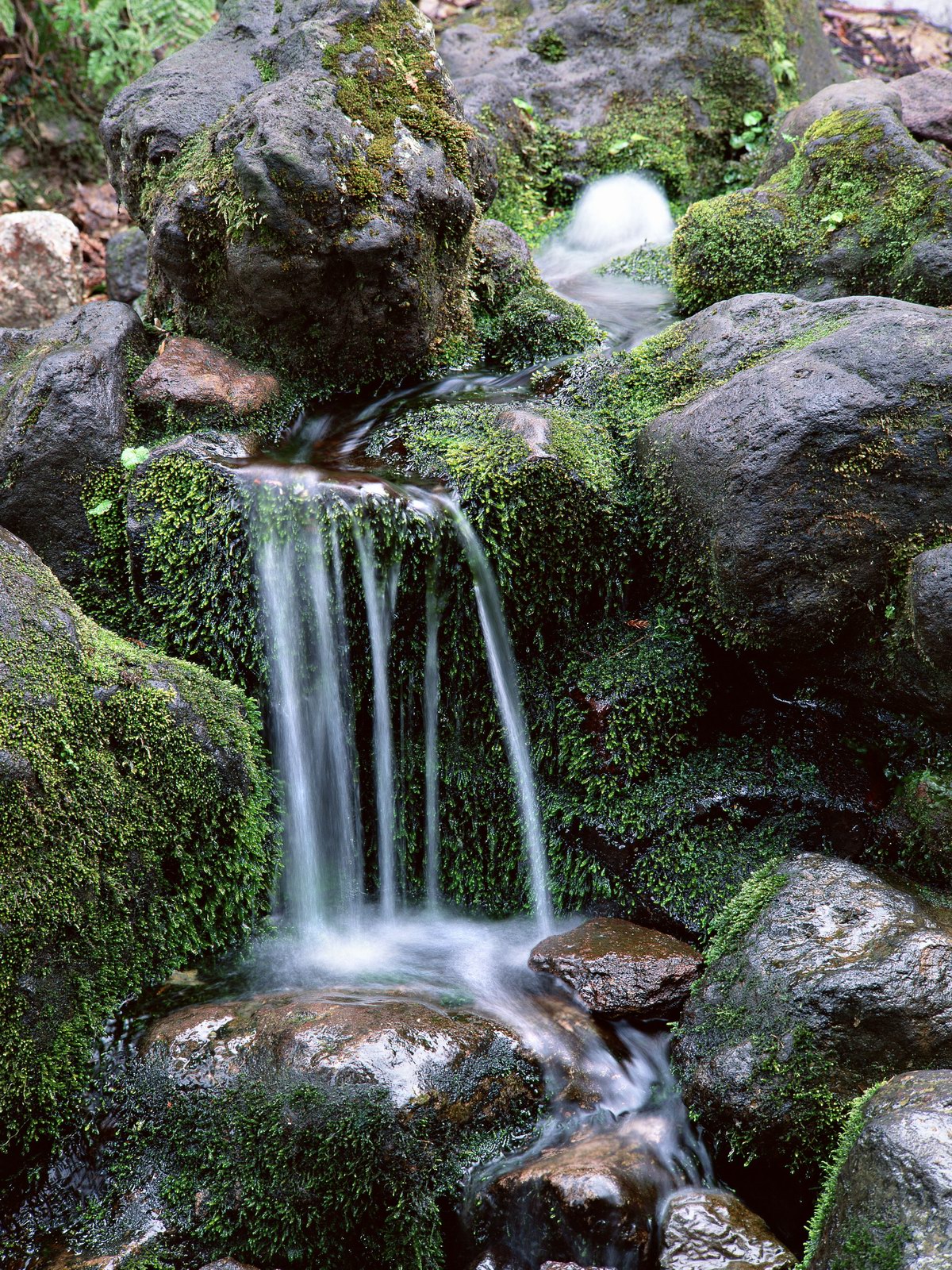 Free download high resolution image - free image free photo free stock image public domain picture -Nature wonderland, waterfall in forest