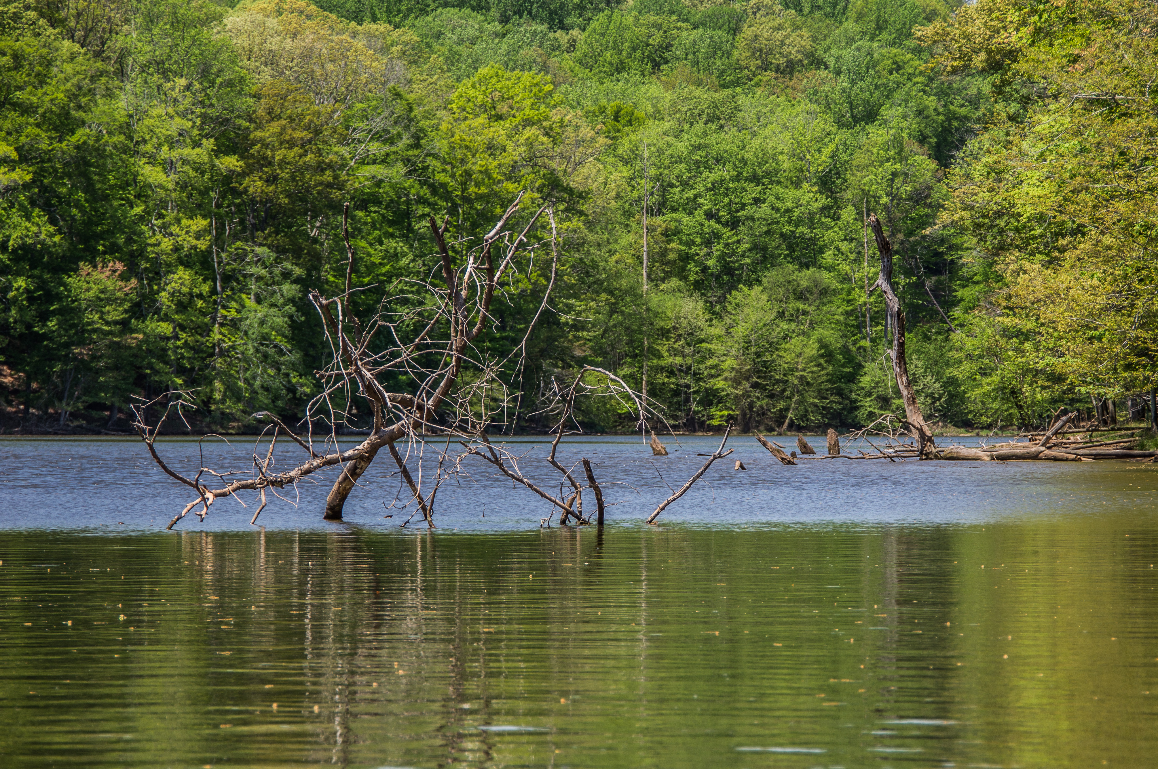 Free download high resolution image - free image free photo free stock image public domain picture -Fountainhead Regional Park, Virginia