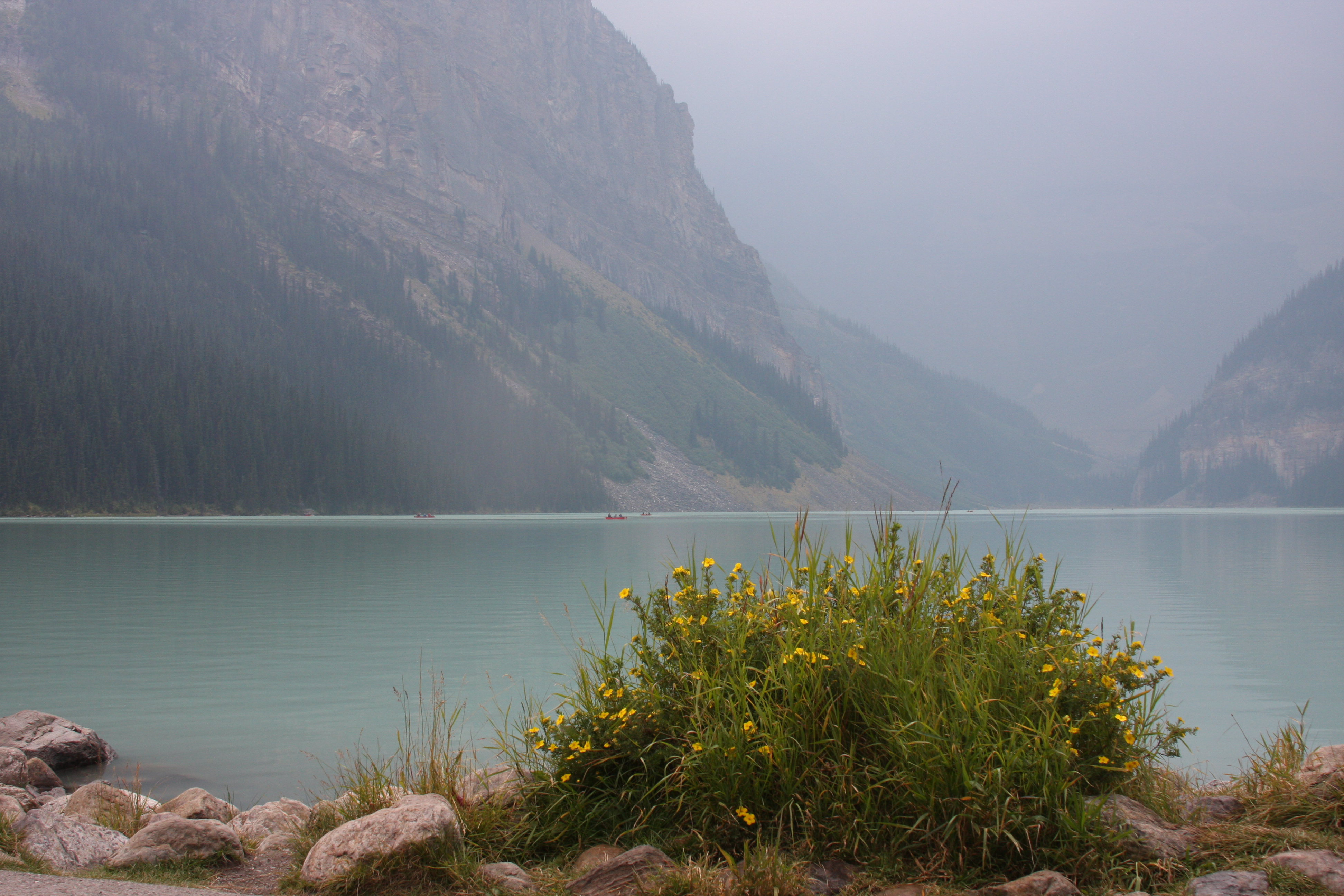 Free download high resolution image - free image free photo free stock image public domain picture -Beautiful Lake Louise located in the Banff National Park