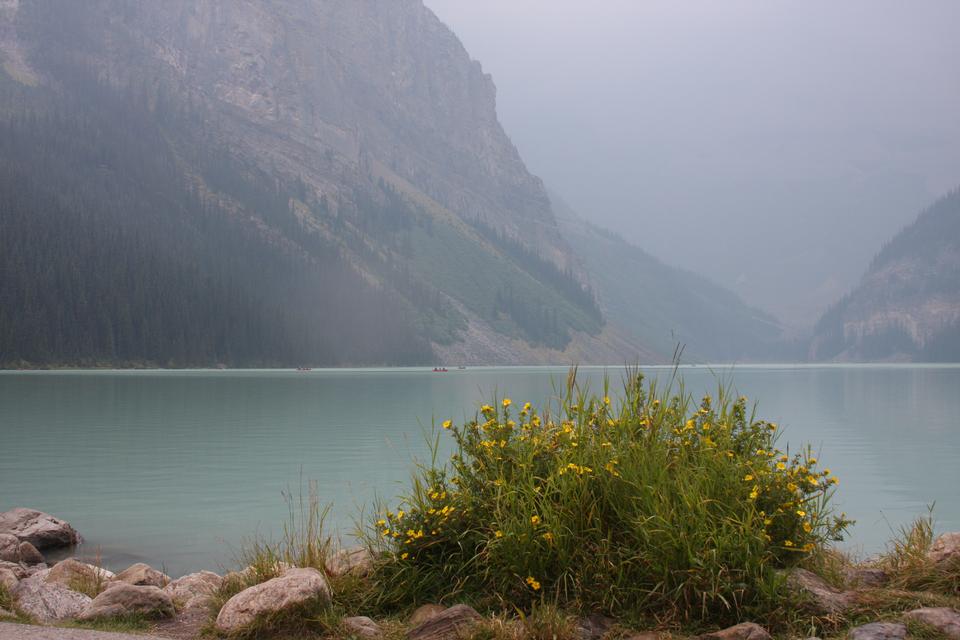 Free download high resolution image - free image free photo free stock image public domain picture  Beautiful Lake Louise located in the Banff National Park