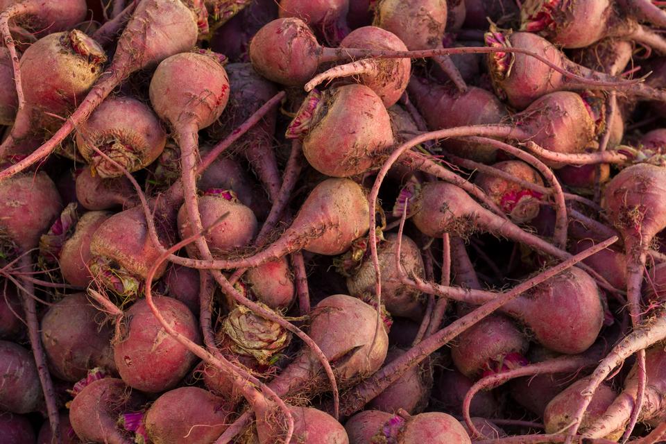 Free download high resolution image - free image free photo free stock image public domain picture  Raw beets