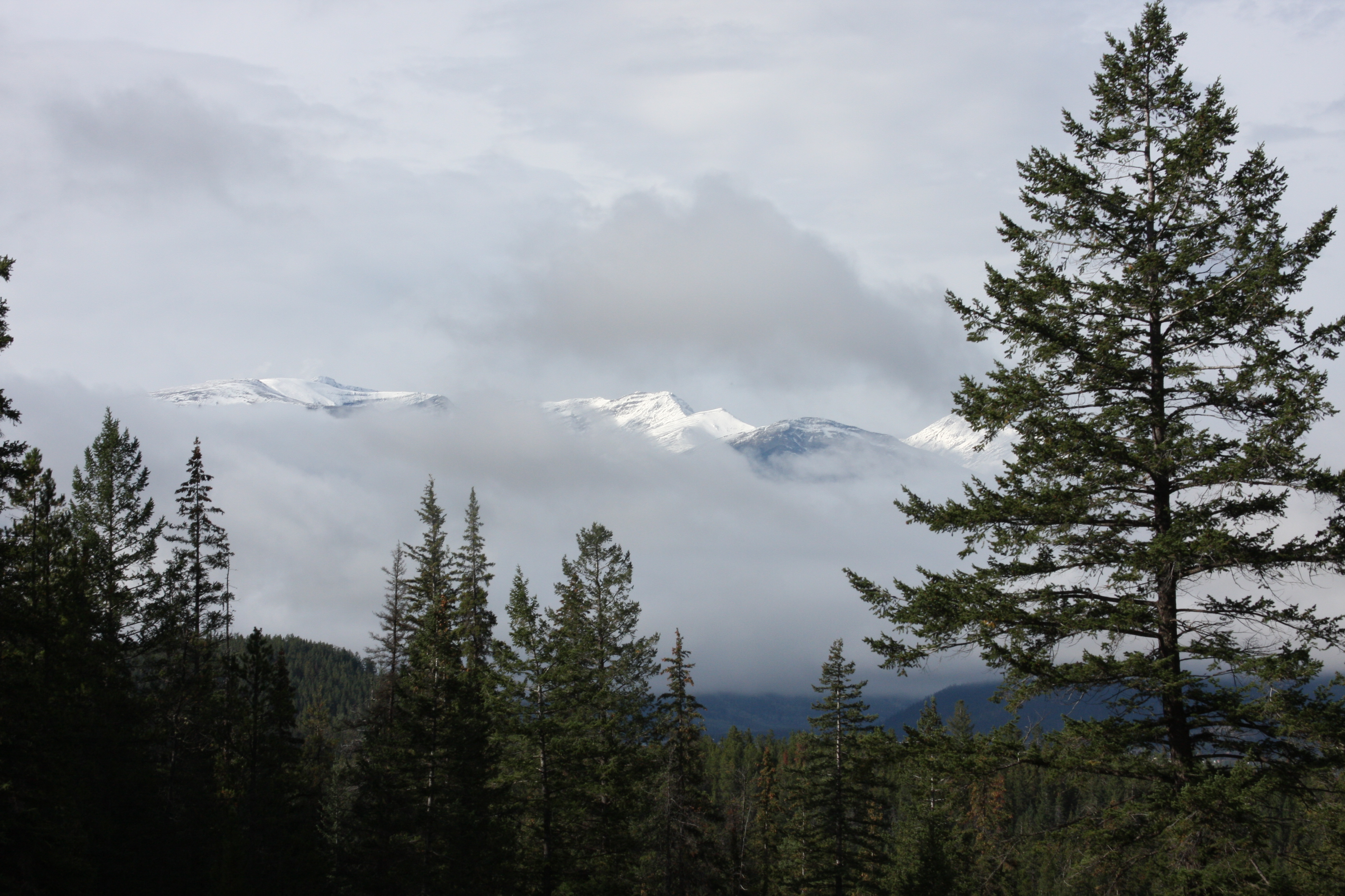 Free download high resolution image - free image free photo free stock image public domain picture -Parker Ridge Trail in the Canadian Rockies