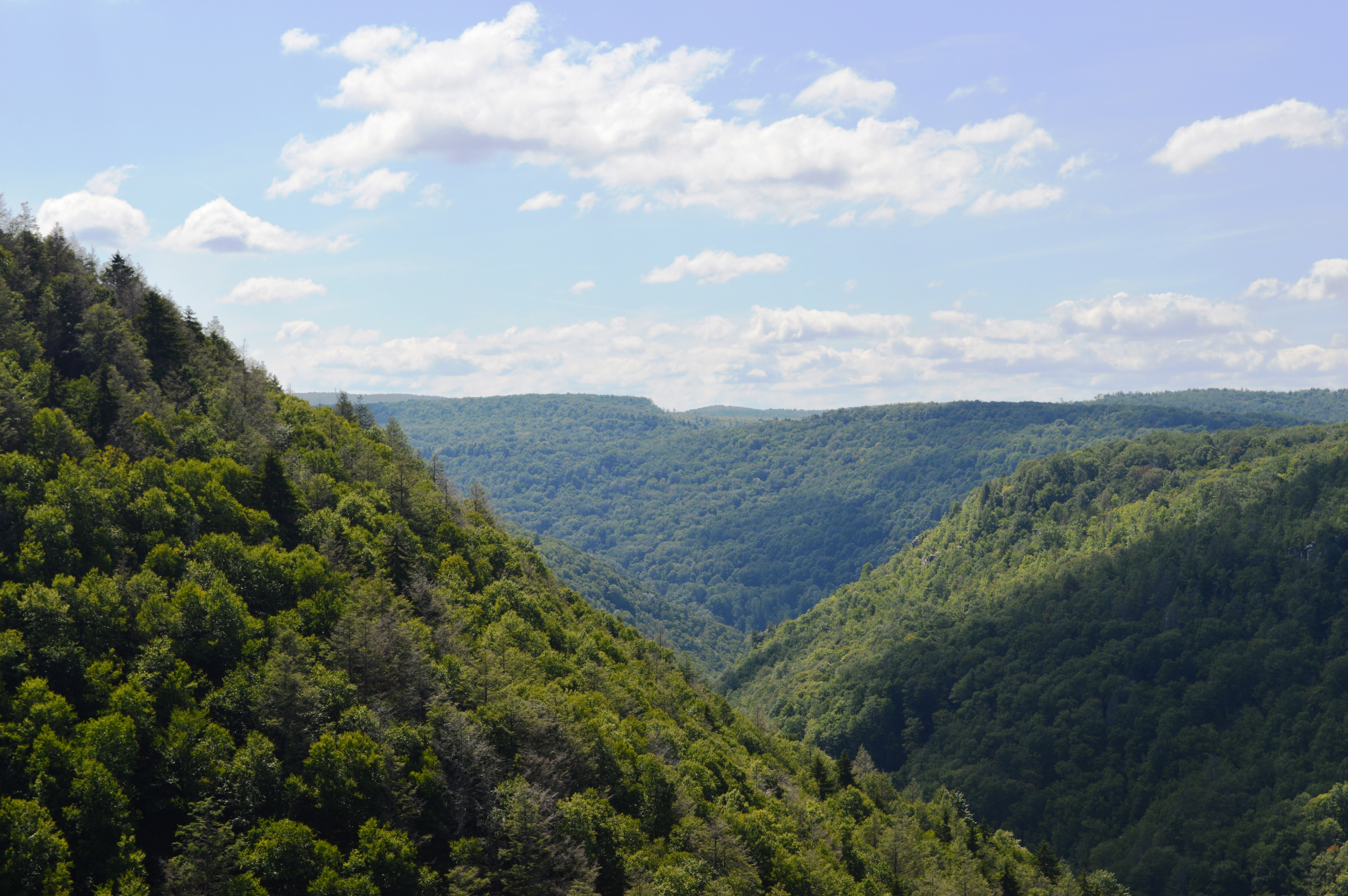 Free download high resolution image - free image free photo free stock image public domain picture -Blackwater Falls State Park WV